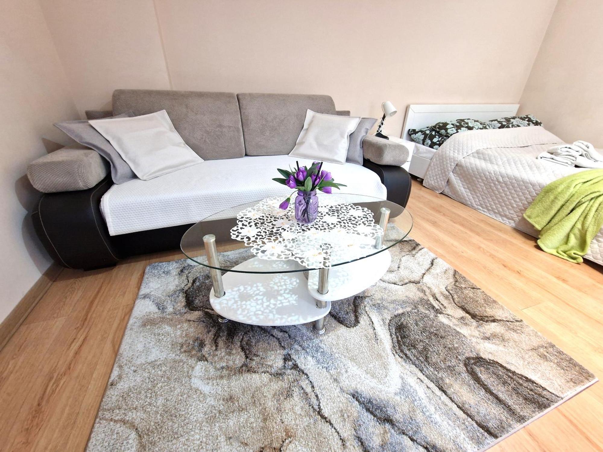 Aparthouse Apartamenty Centrum Сосновец Экстерьер фото